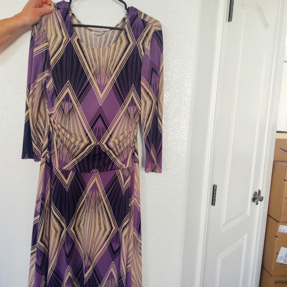 EN focus studio dress size 8